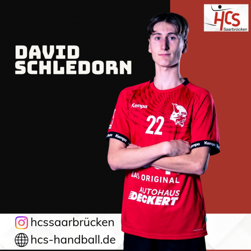 Spielervorstellung David